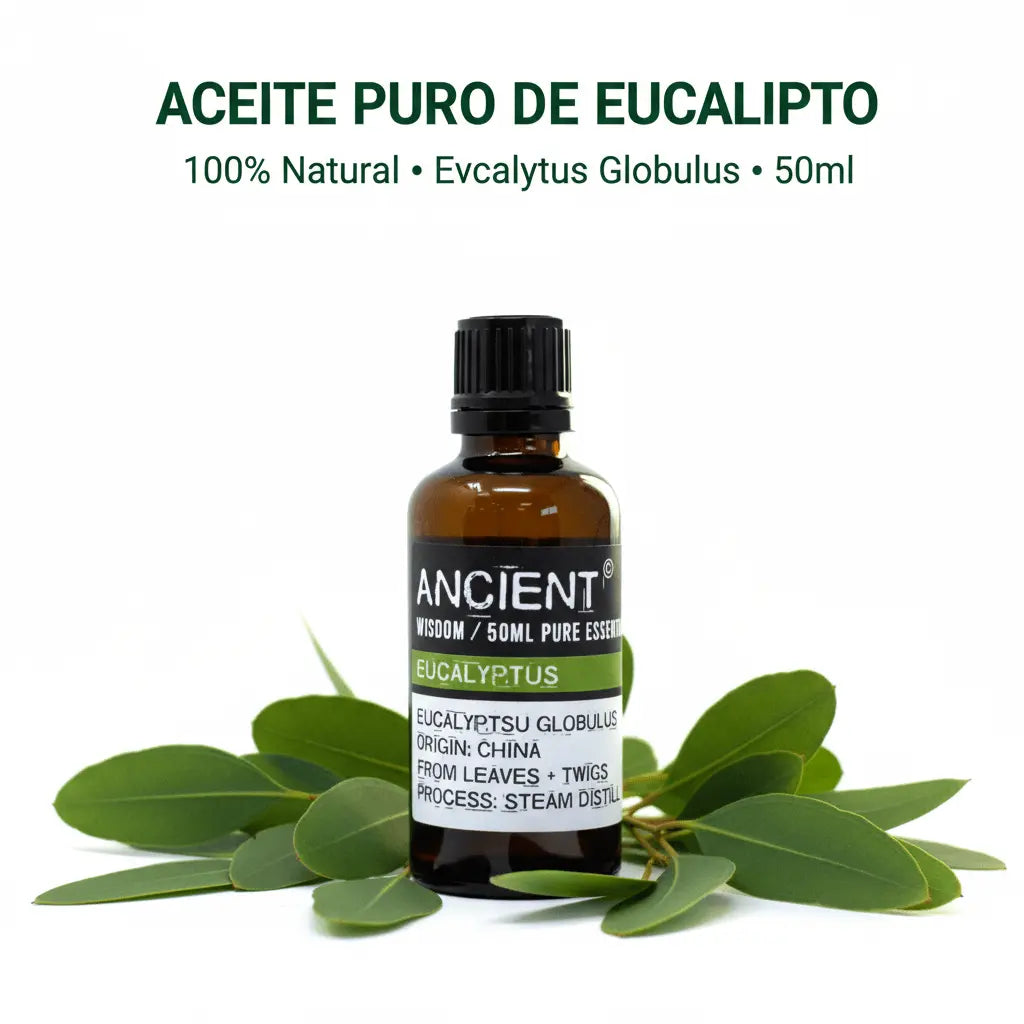 Aceite puro eucalipto - proveedor