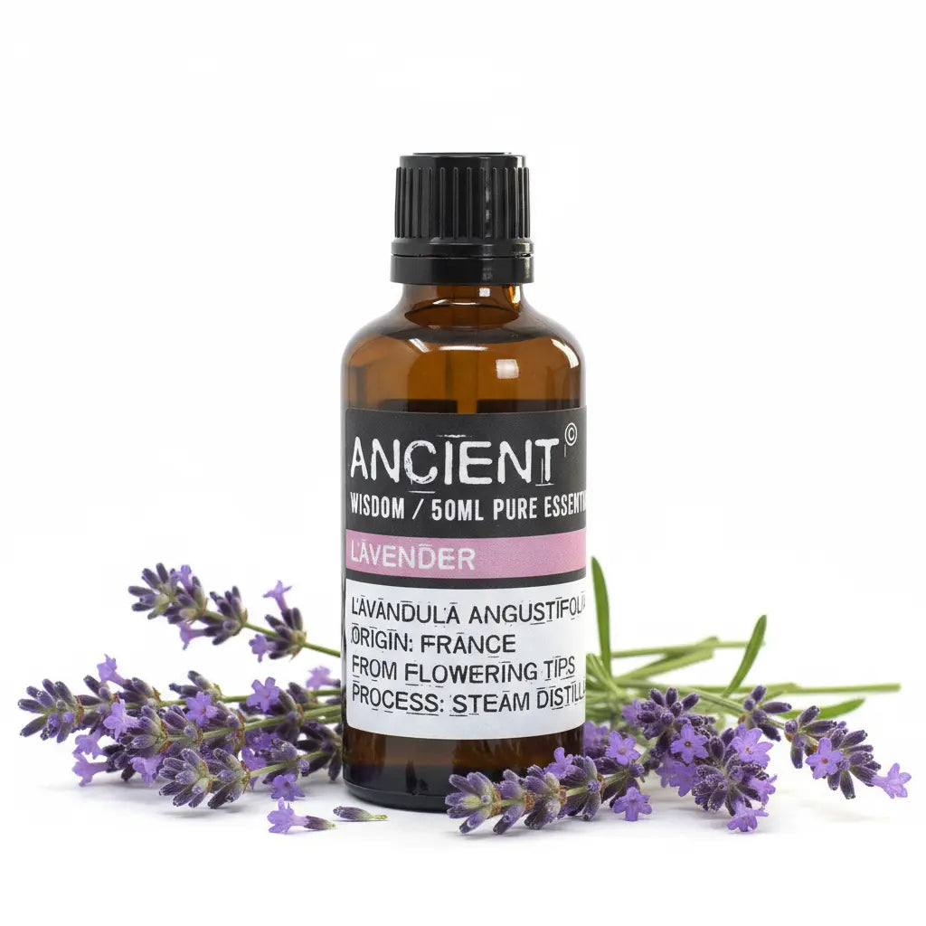 Con flores de lavanda - fondo blanco