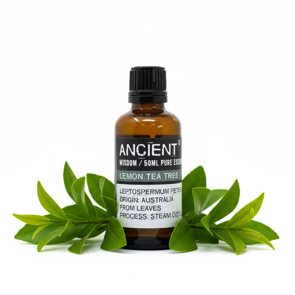 Con hojas de leptospermum petersonii