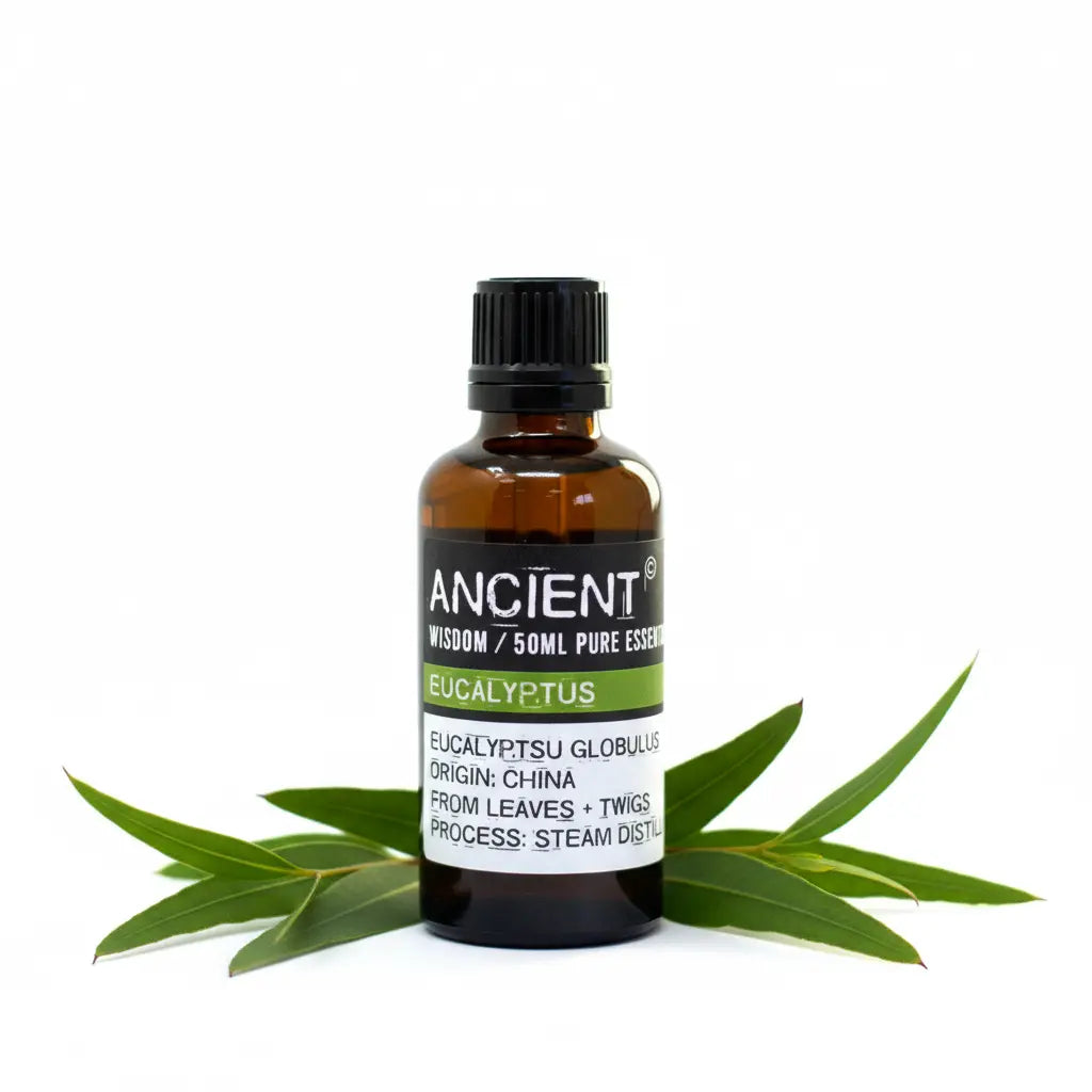 Con hojas eucalipto - proveedor