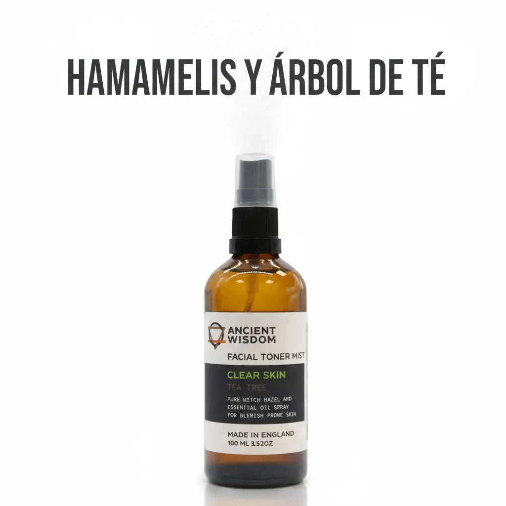 Hamamelis árbol té